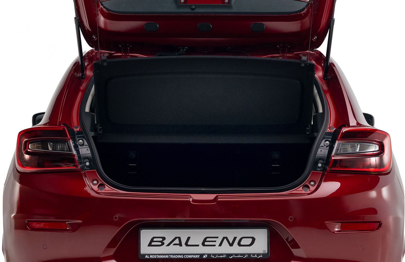 Baleno-(back-door-open-lagges)