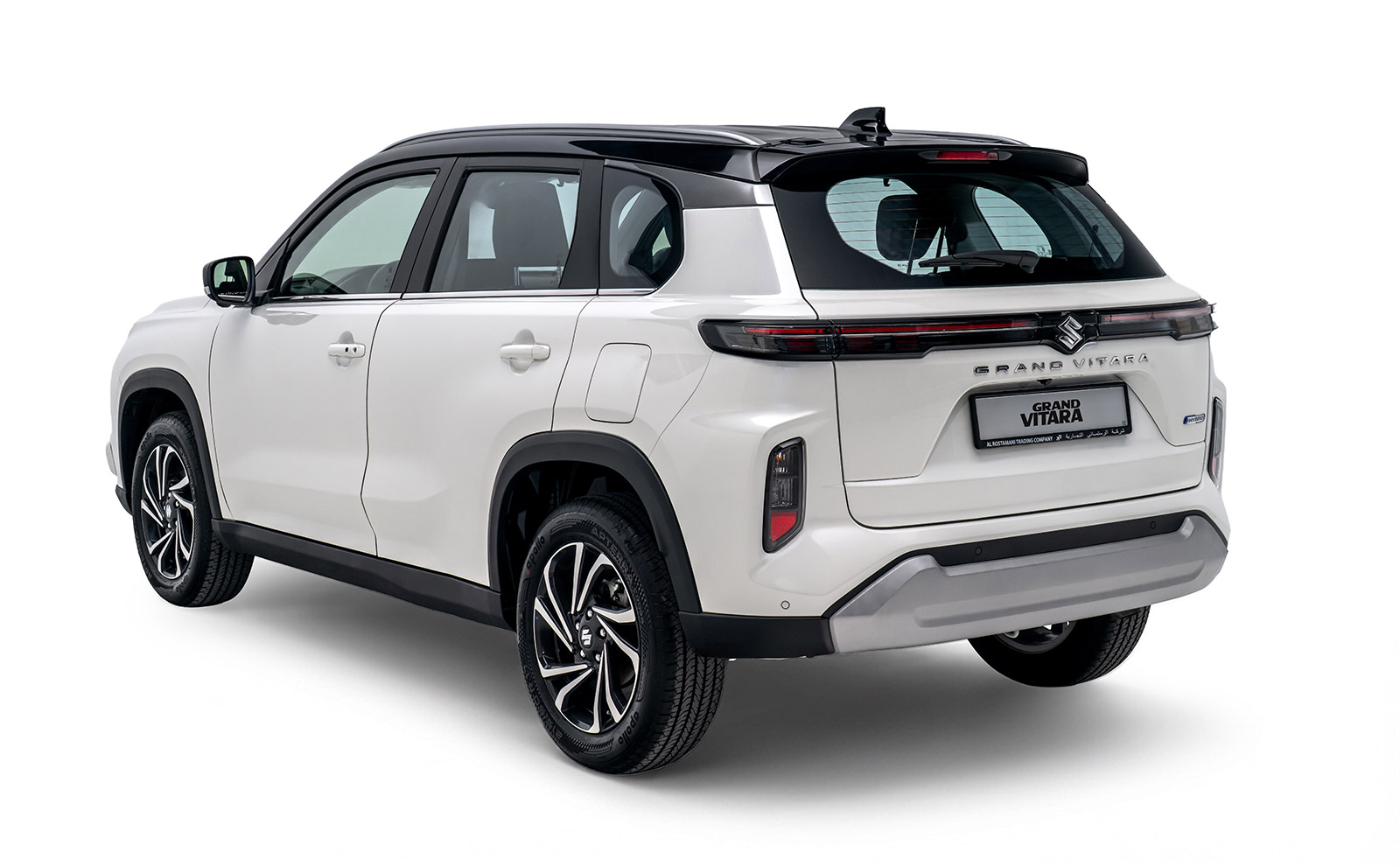 Grand-Vitara-(back-side)